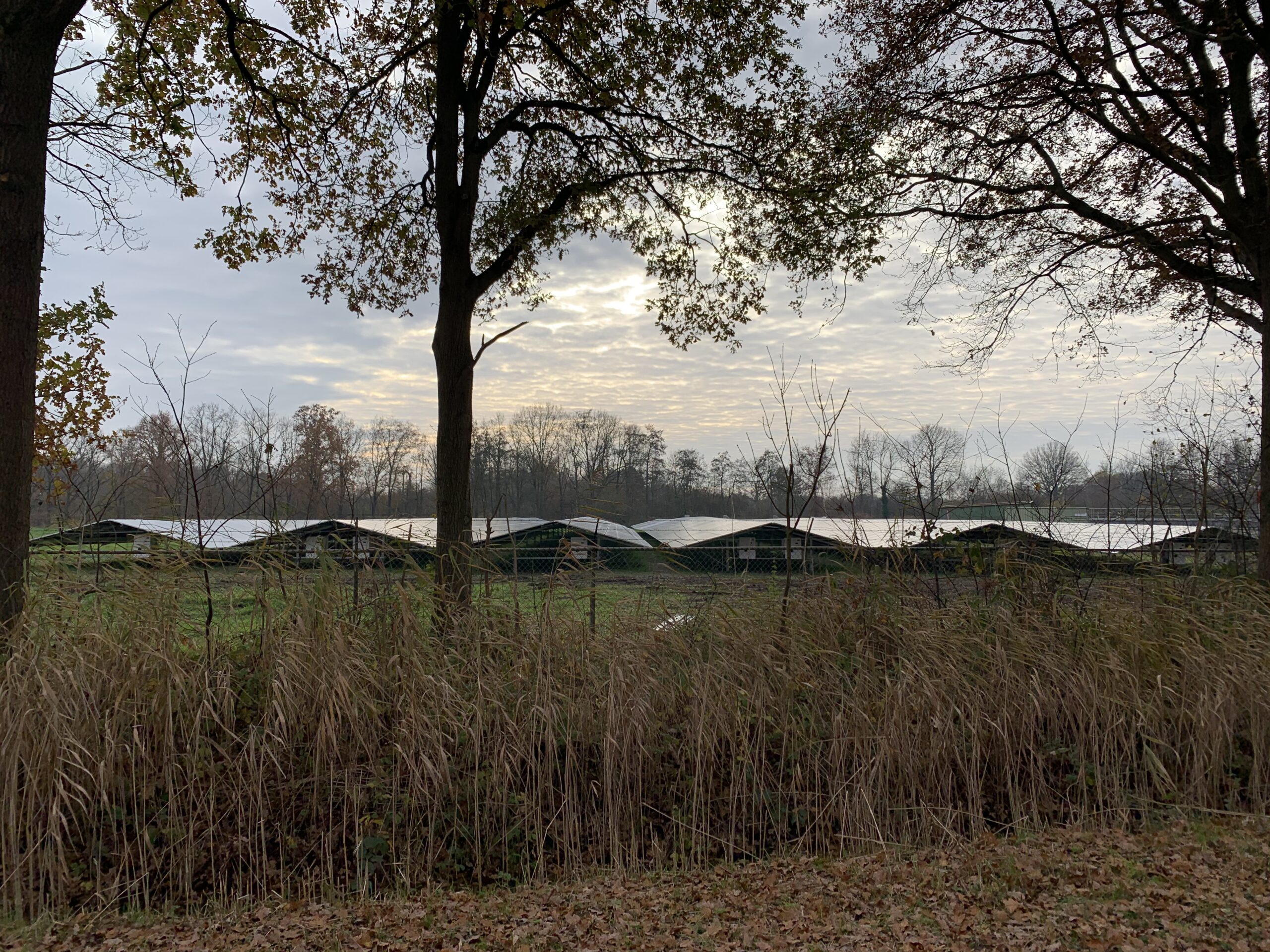 De NOS kopte op 8 juni: Stroomnetwerk Limburg en Noord-Brabant vol, nieuwe bedrijven niet aangesloten. De Provincie Noord-Brabant reageert hier in niet mis te verstane bewoordingen op: dit is onaanvaardbaar! 